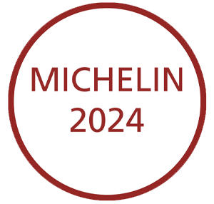 Michelin24